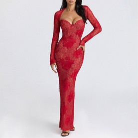 Lucienne Lace Embroidered Dress