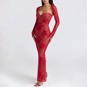 Lucienne Lace Embroidered Dress