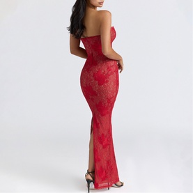 Lucienne Lace Embroidered Dress