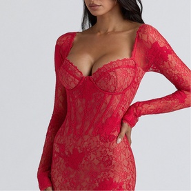Lucienne Lace Mini  Dress