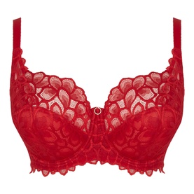 Allure Full Cup Bra