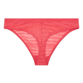 Free Evolve Lace String Briefs