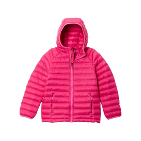 Powder Pass&trade; Hooded Quilted Jacket