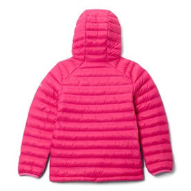 Powder Pass&trade; Hooded Quilted Jacket