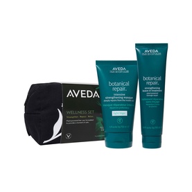 Hair Repair Wellness Set