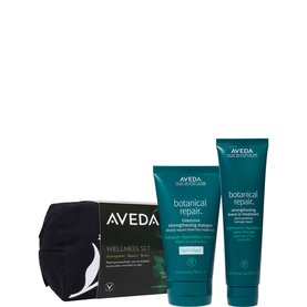 Hair Repair Wellness Set