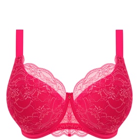 Darcie Lace Padded Underwired Bra