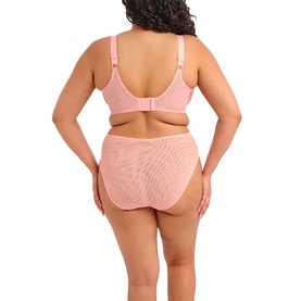 Model wearing Elomi brief in Rose Bud, sheer mesh fabric, high-waist cut, shown from behind with matching bra