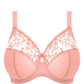 Zarla Embroidered Underwired Bra