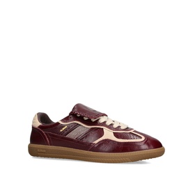 TB 490 Club Trainers