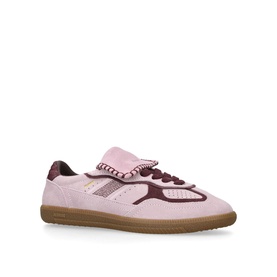 TB 490 Club Trainers