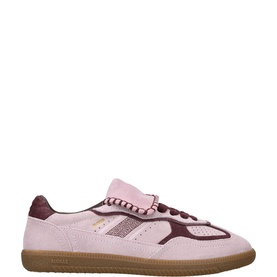 TB 490 Club Trainers