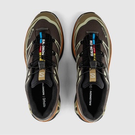 XT-6 GTX Trainers