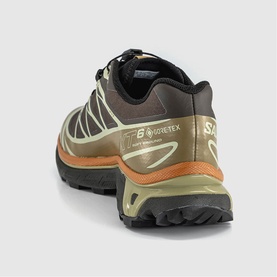 XT-6 GTX Trainers