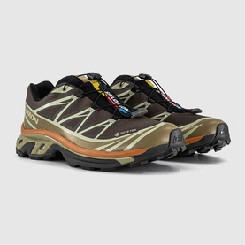 XT-6 GTX Trainers