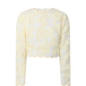 Ciara Sheer Lace Top