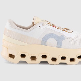 Cloudmonster Trainers