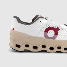 Cloudmonster Void Trainers
