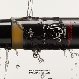 Promise Body Wash