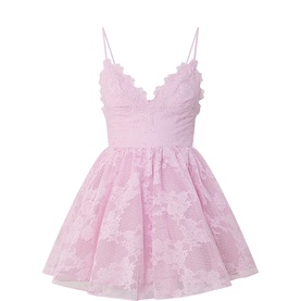 Orelia Lace Mini Dress