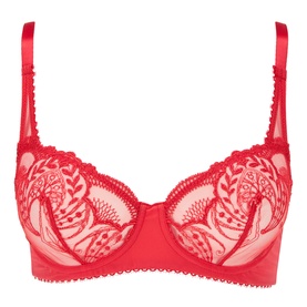 Poesie Embroidered Underwired Bra
