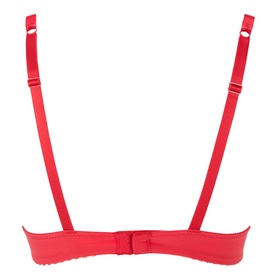 Poesie Embroidered Underwired Bra