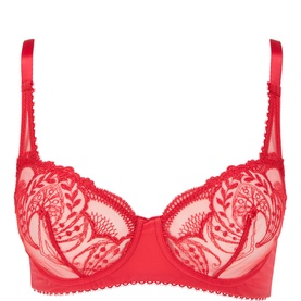 Poesie Embroidered Underwired Bra
