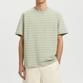 Model wearing Selected Aqua Gray crew neck T-shirt with textured stripe pattern, styled with cream shorts