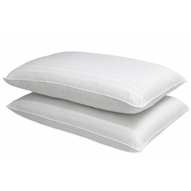Anti Allergy Pillow Pair