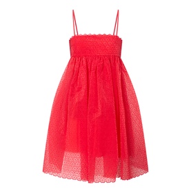 Denta Windflower Mini Dress