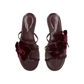 Orchid Floral Slides