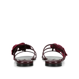 Orchid Floral Slides