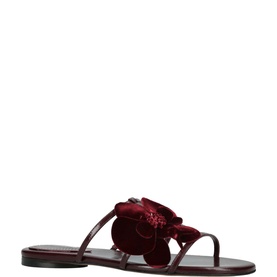 Orchid Floral Slides