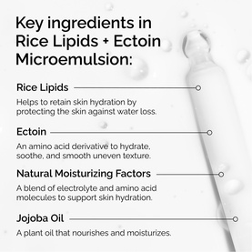 Rice Lipids + Ectoin Microemulsion Ultra-Lightweight Moisturiser