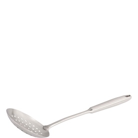 Stainless Steel Skimmer