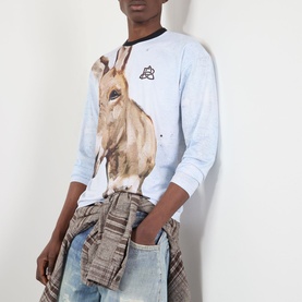 Model wearing Pellador Donkey Paint Graphic Long-Sleeved T-Shirt in pale blue with large donkey print, styled with light wash jeans and plaid shirt