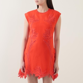 Raquel Embroidered Mini Dress