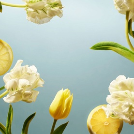 Rituals Hand Balm lifestyle shot featuring white parrot tulips, yellow tulips, and lemon slices on a soft blue background