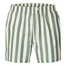 Dane Striped Drawstring Swim Shorts