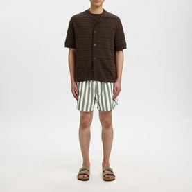 Dane Striped Drawstring Swim Shorts