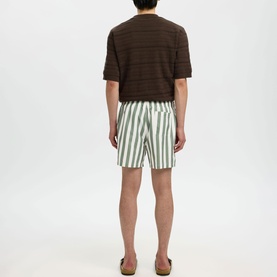 Dane Striped Drawstring Swim Shorts