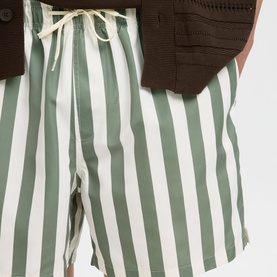 Dane Striped Drawstring Swim Shorts