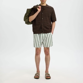 Dane Striped Drawstring Swim Shorts