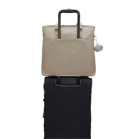 India Tote Bag