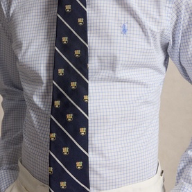 Model wearing Ralph Lauren Reg Shirt in Cabana Blue and White check, styled with a navy stripe tie featuring gold emblem motifs.