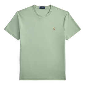 Polo Ralph Lauren sage green crew neck T-shirt with gold embroidered pony logo on chest, short sleeves