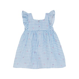 Street Monkey blue gingham check dress with flutter sleeves, floral embroidery, and button-back fastening, baby months size