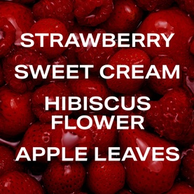 PHLUR Berry Cream Hair and Body Mist key notes card: strawberry, sweet cream, hibiscus flower, apple leaves