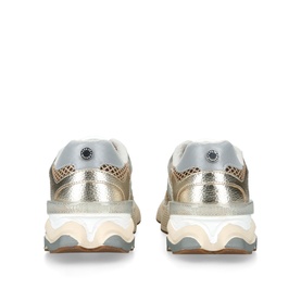 Speeder 163 Trainers