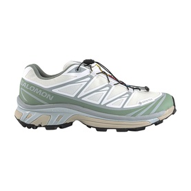 XT-6 GTX Trainers